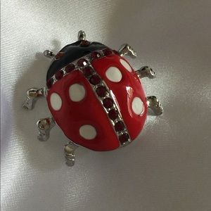 New! “Fly Away Home!” 2” Ladybug Broach/Pin